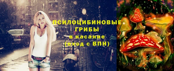 прущие крисы Осинники
