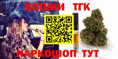стаф Аргун