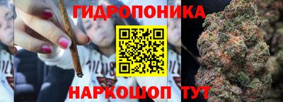 стаф Аргун