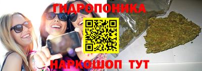 стаф Аргун