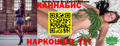 твердый Бийск