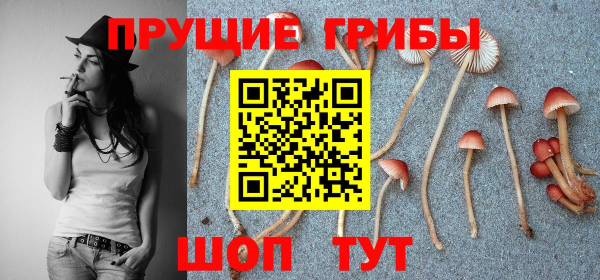 Ревда  Галлюциногенные грибы прущие грибы  Вход с VPN  Галлюциногенные грибы GOLDEN TEACHER 
