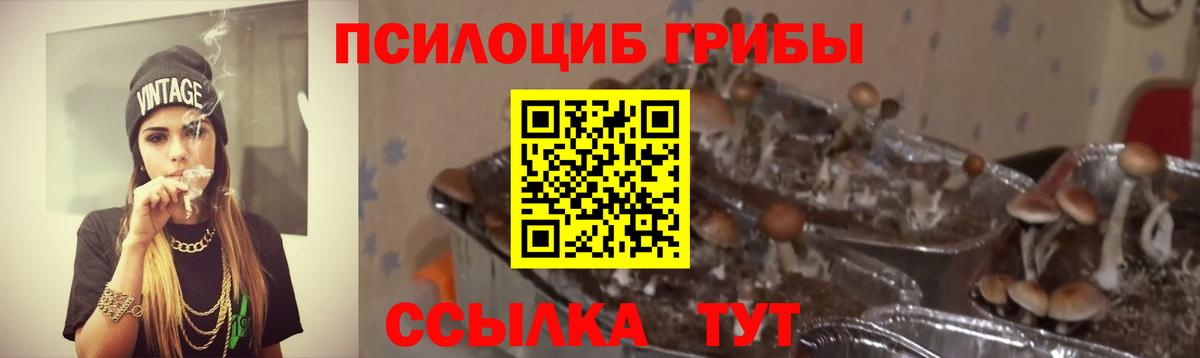 Галлюциногенные грибы ЛСД Ревда